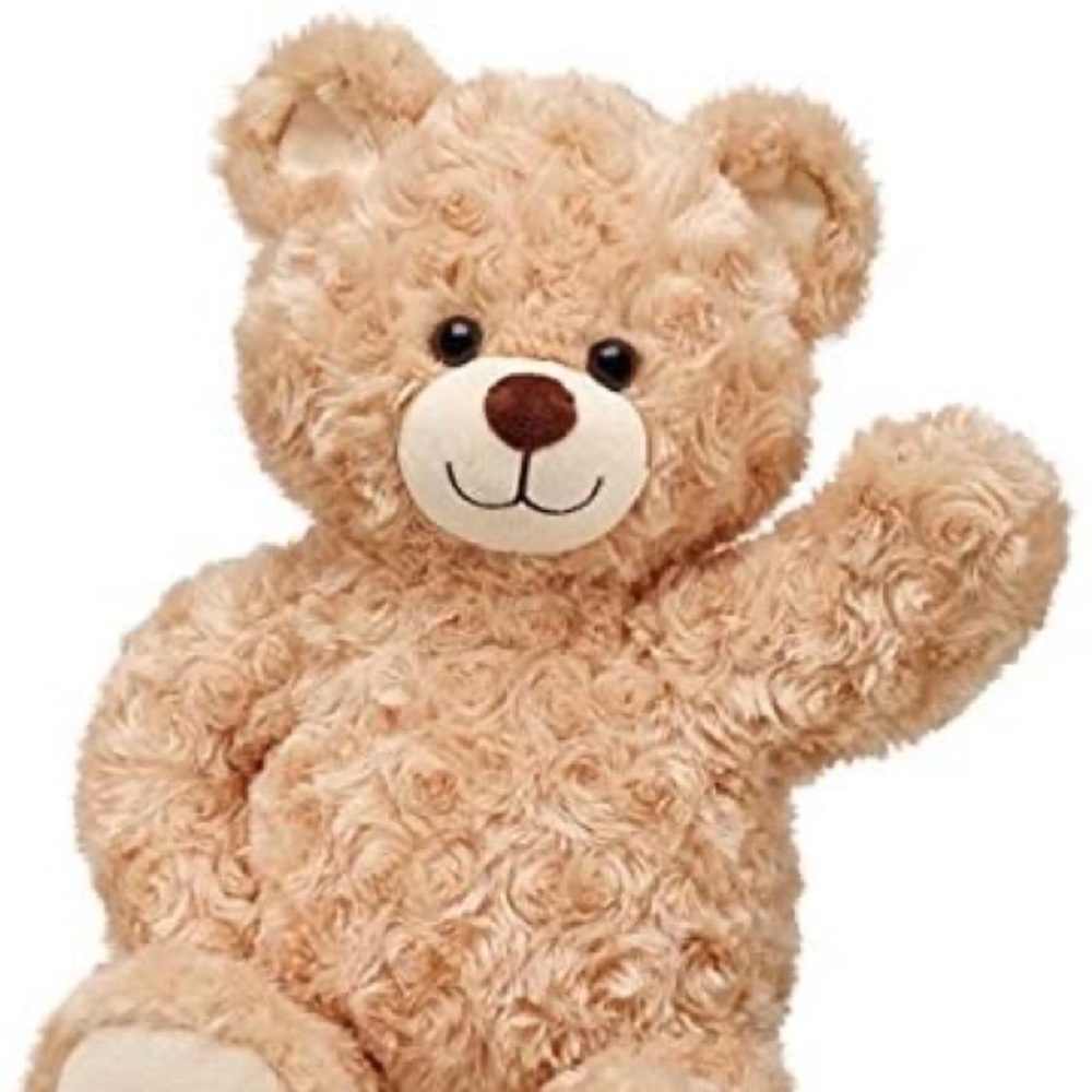 Build a Bear